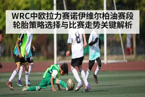 WRC中欧拉力赛诺伊维尔柏油赛段轮胎策略选择与比赛走势关键解析